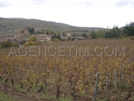 Village viticole du mâconnais